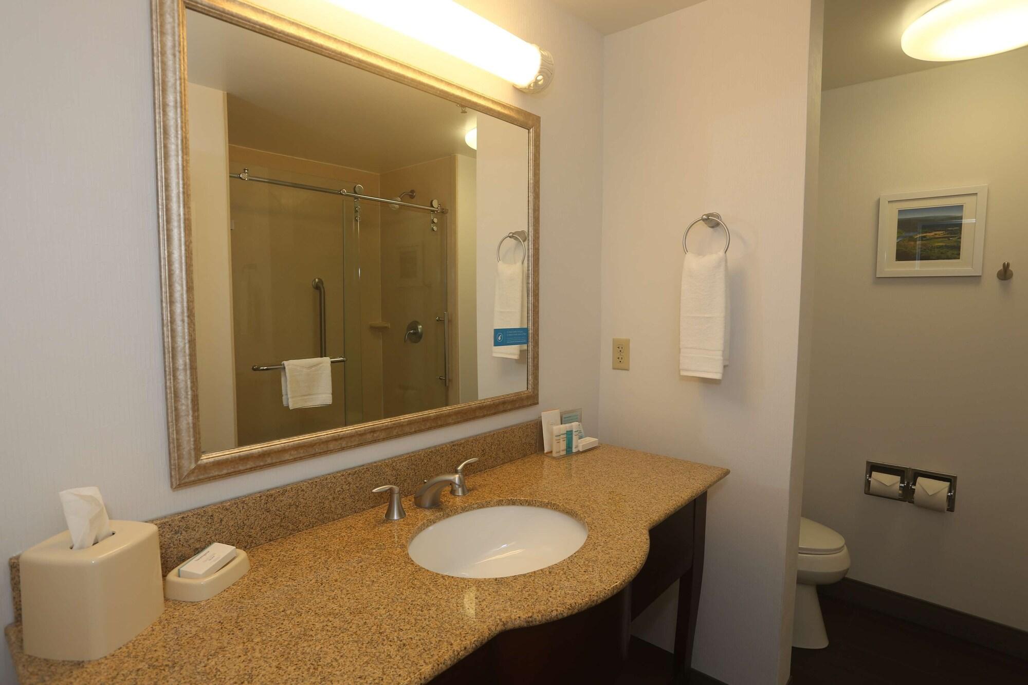 Hampton Inn Owego Exteriör bild
