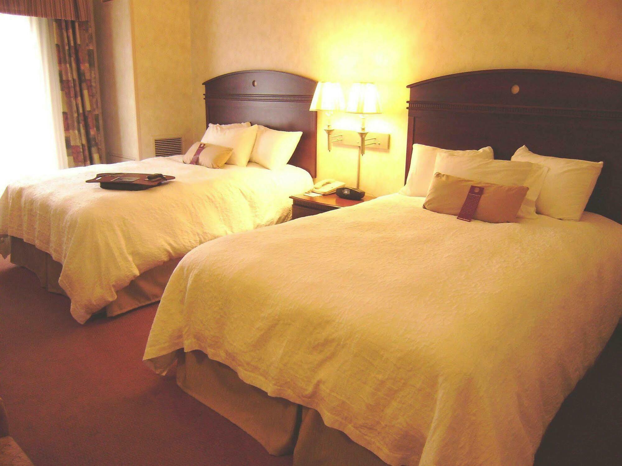 Hampton Inn Owego Rum bild